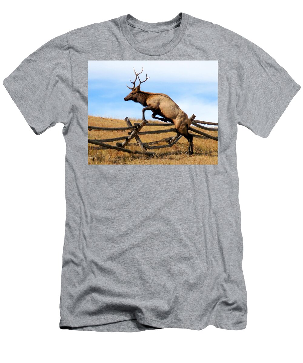 Elk T-Shirt featuring the photograph Forever Free by Karen Shackles