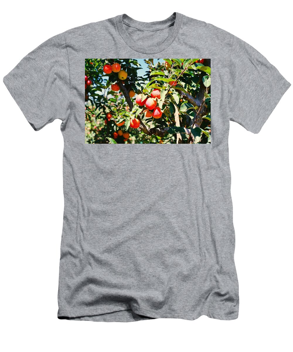 Orchard T-Shirt featuring the photograph Found Some More by Troy Wilson-Ripsom