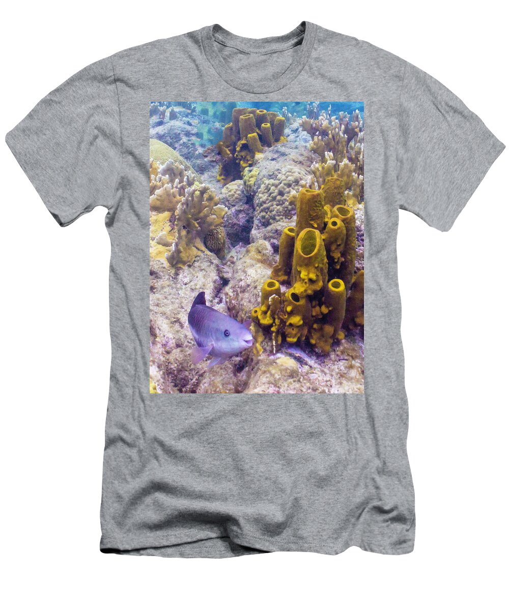Ocean T-Shirt featuring the photograph Friendly Queen by Lynne Browne