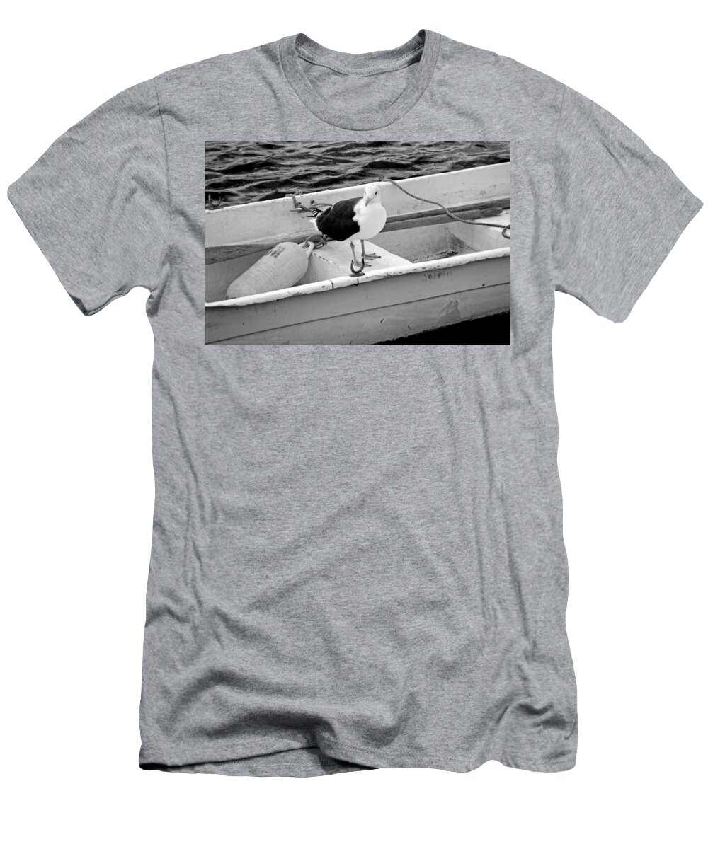 Rockport T-Shirt featuring the photograph From Rockport MA A seagull chilling out in a rowboat Black and White by Toby McGuire