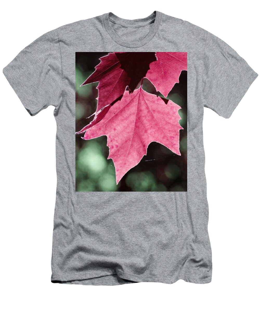 Art T-Shirt featuring the photograph FULLES Autumn by Auranatura Art