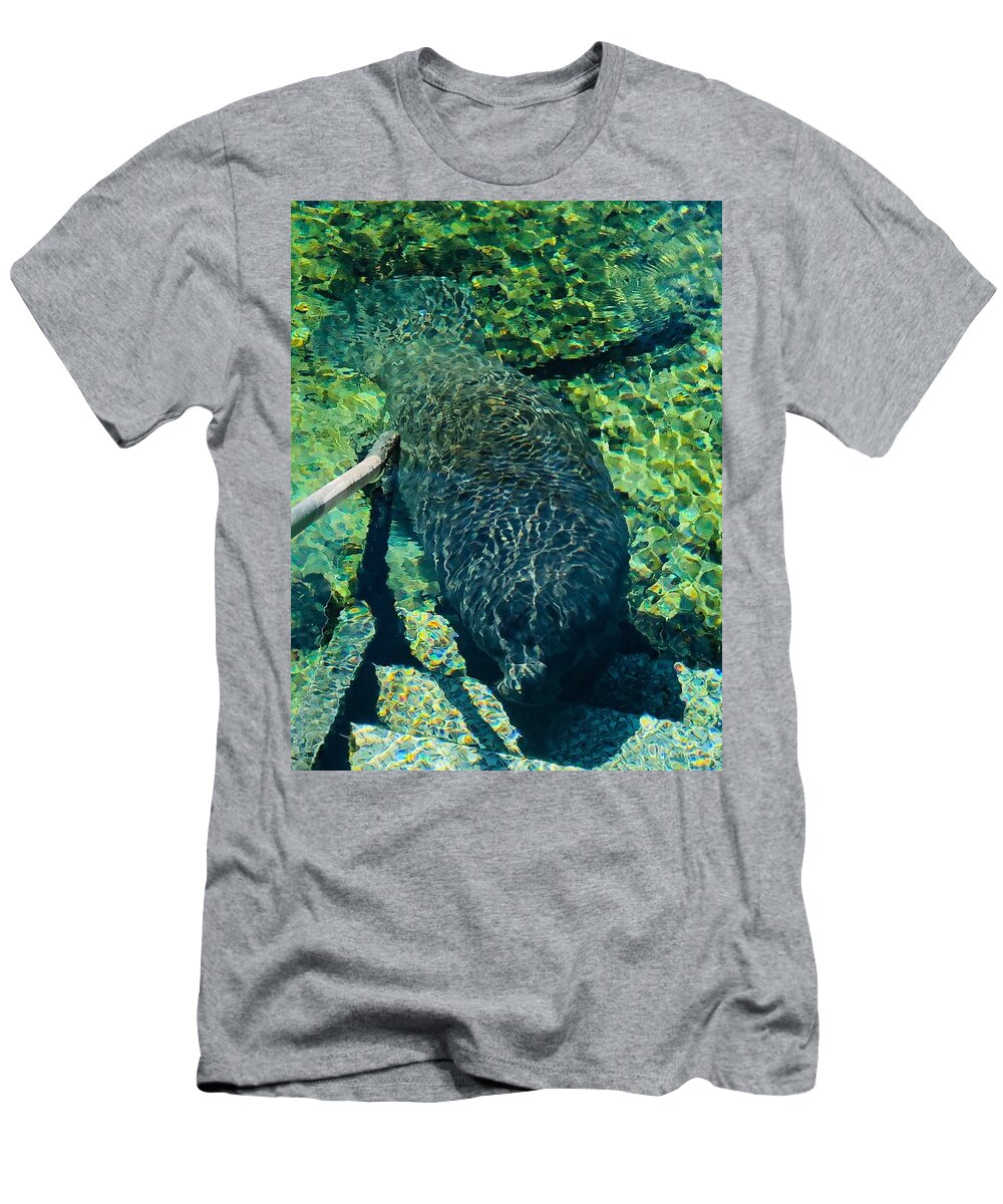 Manatee Blue Spring State Park Florida T-Shirt featuring the photograph Fun Stuff 3 by John Anderson