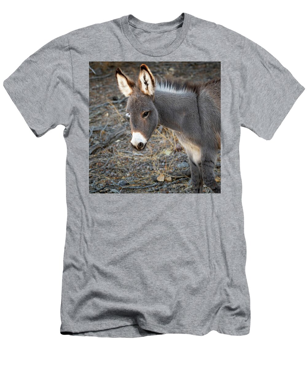 Wild Burros T-Shirt featuring the photograph Fuzzy Ears by Mary Hone