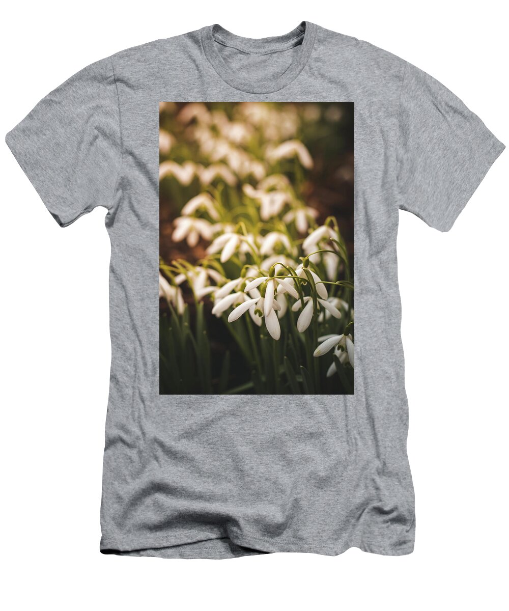 Europe T-Shirt featuring the photograph Galanthus nivalis at sunset by Vaclav Sonnek