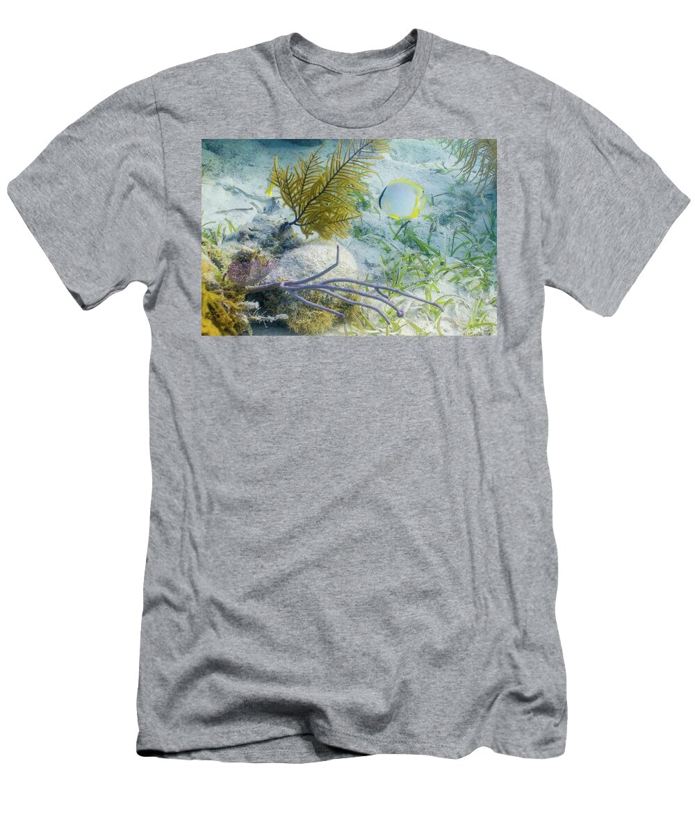 Animals T-Shirt featuring the photograph Garden Spot by Lynne Browne