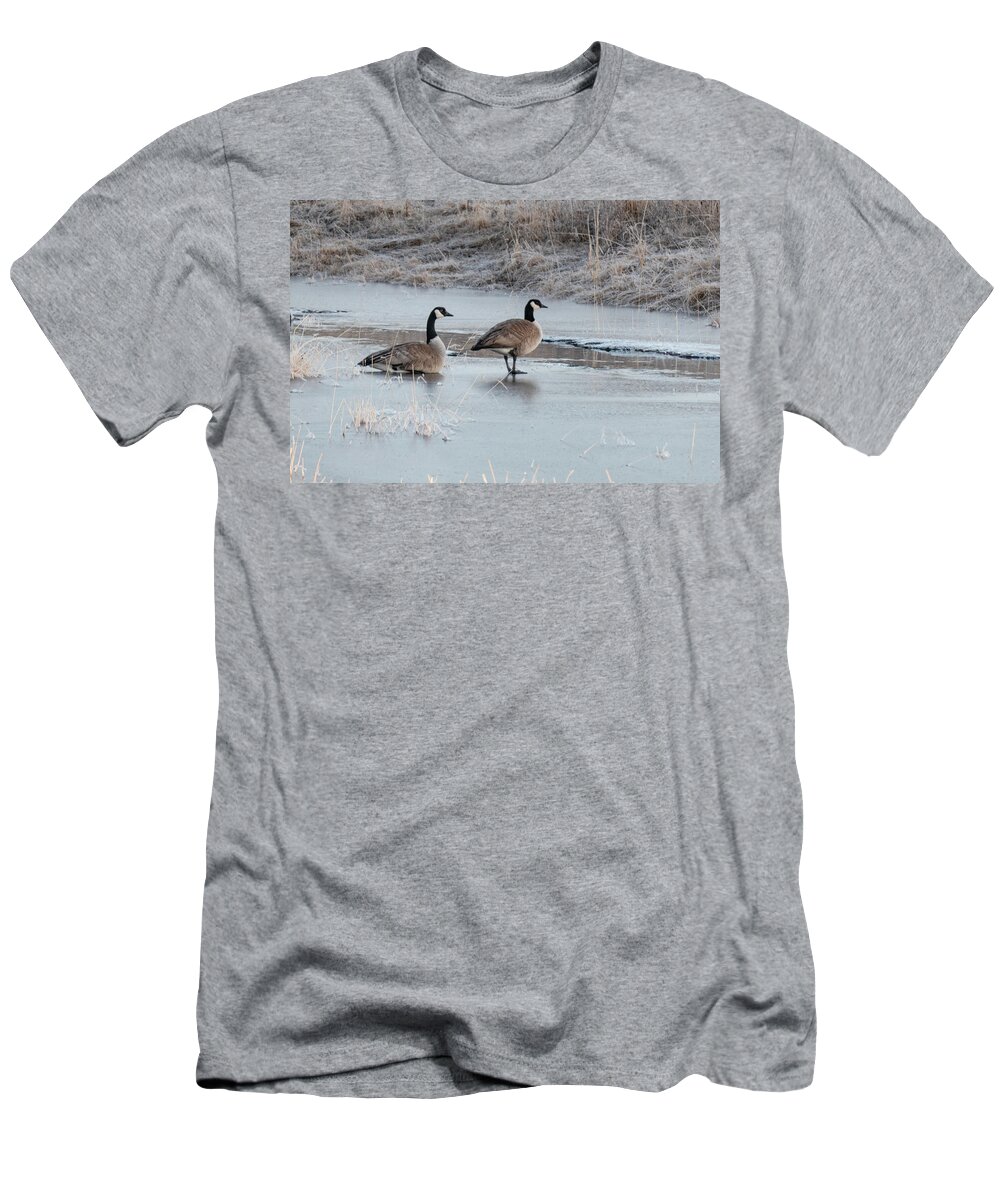 Geese T-Shirt featuring the photograph Geese On Ice by Phil And Karen Rispin