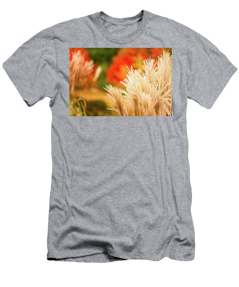 New Hampshire T-Shirt featuring the photograph Golden Autumn Grass by Jeff Sinon