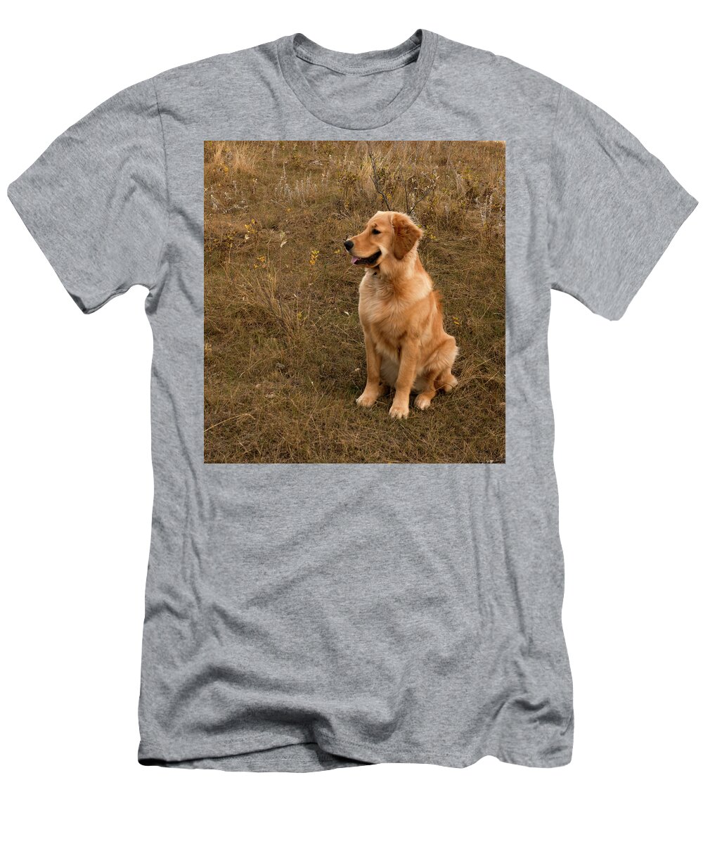 Dog T-Shirt featuring the photograph Golden Retriever Smiling by Karen Rispin