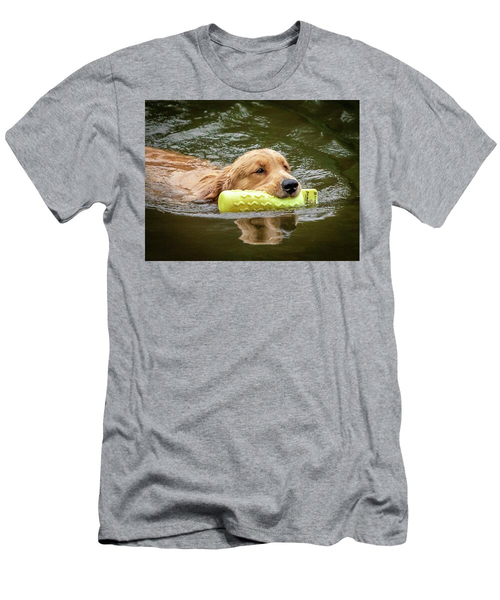 Dog Training T-Shirt featuring the photograph Golden Swim by GeeLeesa