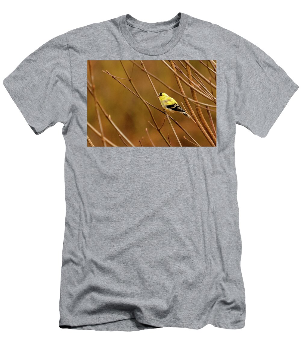 American Gold Finch T-Shirt featuring the photograph Goldfinch in the Dogwood 1 by Joni Eskridge