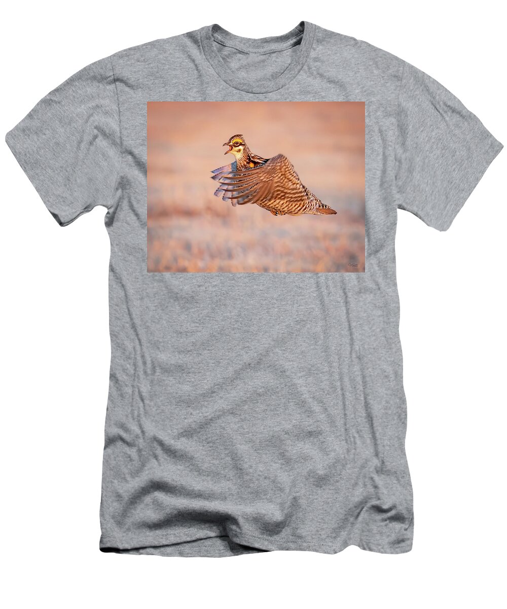 Greater Prairie Chickens T-Shirt featuring the photograph Gotta fight that other Prairie Chicken by Judi Dressler