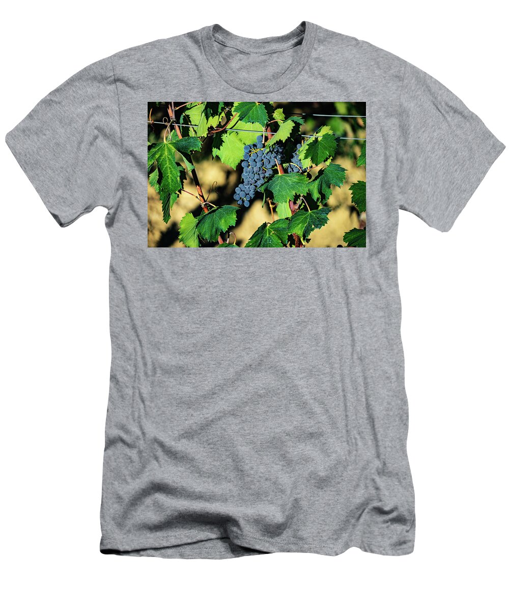 Italy T-Shirt featuring the photograph Grapes on the vine by Marian Tagliarino