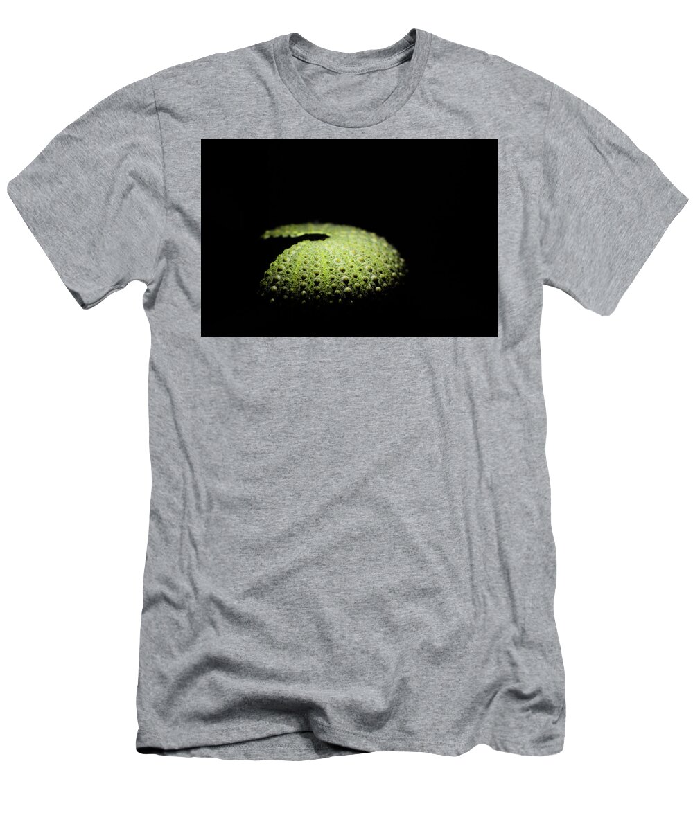 Green T-Shirt featuring the photograph Green sea urchin shell by Maria Dimitrova