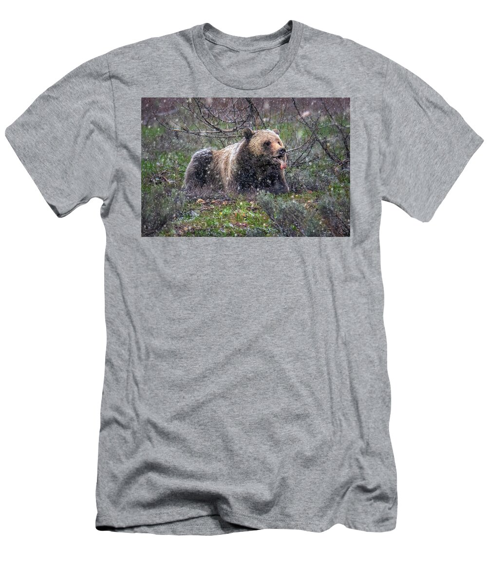 Snowflake T-Shirt featuring the photograph Grizzly Catching Snowflakes by Michael Ash