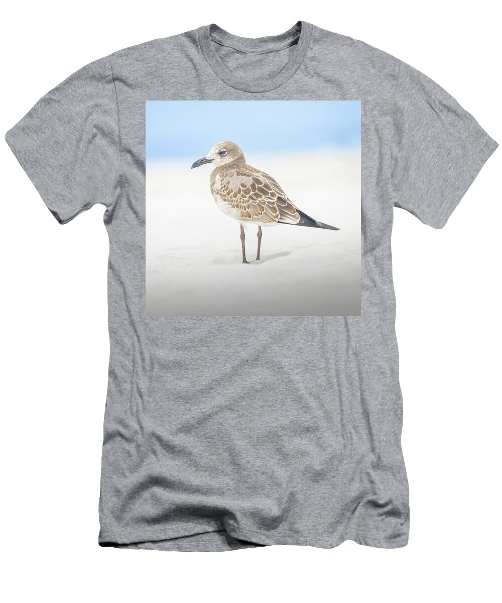Seagull T-Shirt featuring the photograph Gull In The Sand Florida Emerald Coast by Jordan Hill