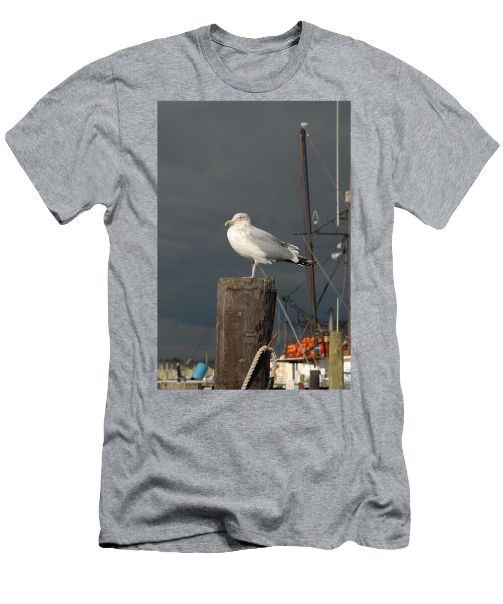 Herring Gull T-Shirt featuring the photograph Gulls 592 by Joyce StJames