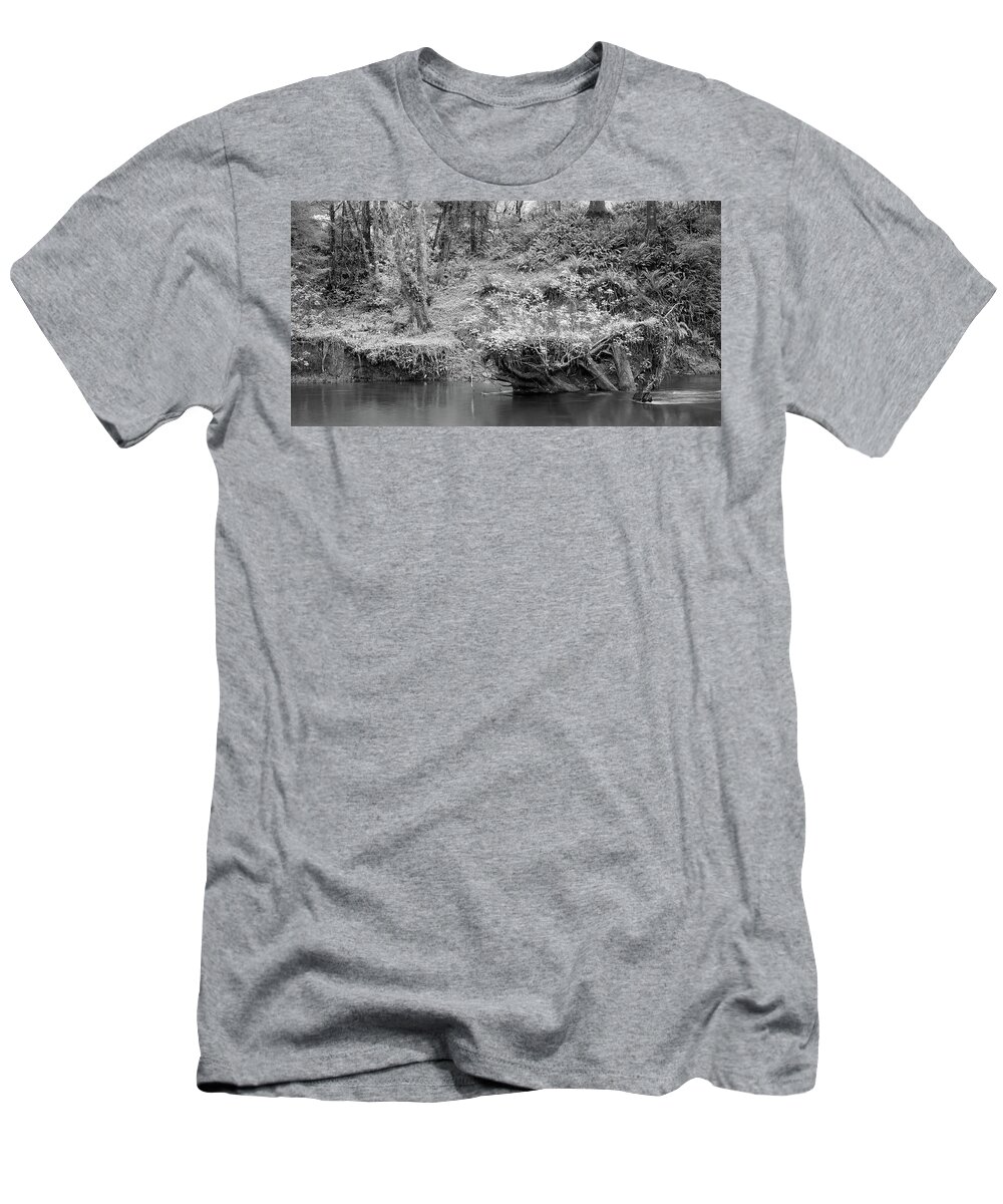 Landscape T-Shirt featuring the photograph Haceta Head Stream by Mike Bergen