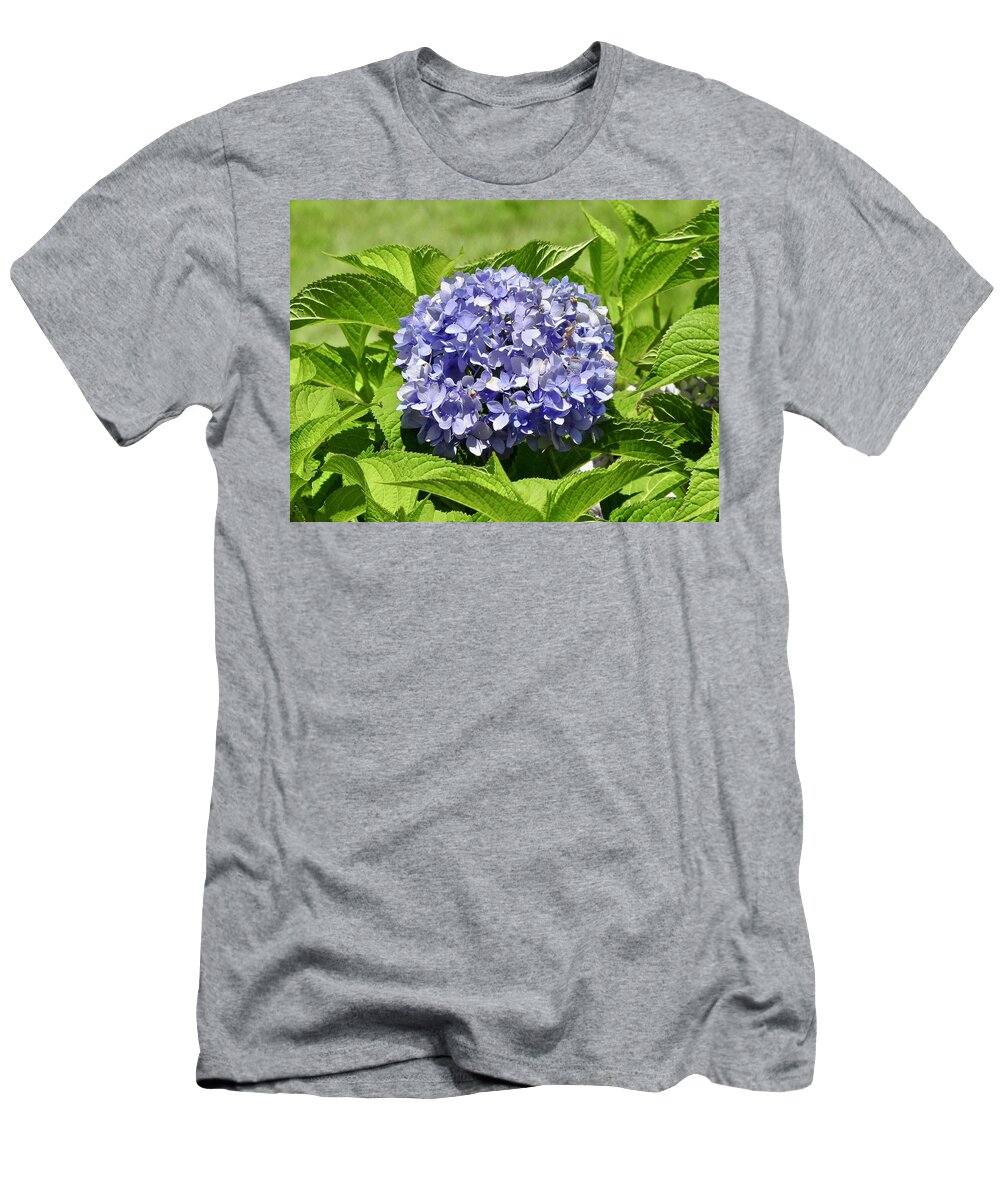 Happy Hydrangea T-Shirt featuring the photograph Happy Hydrangea by Kathy Chism