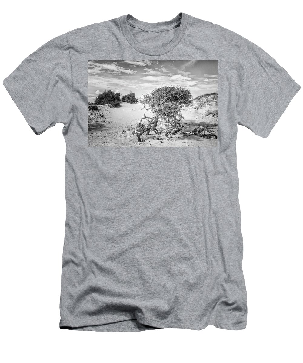 Cedar Island T-Shirt featuring the photograph Harsh Environment - the Struggle for Life on a Remote Beach by Bob Decker