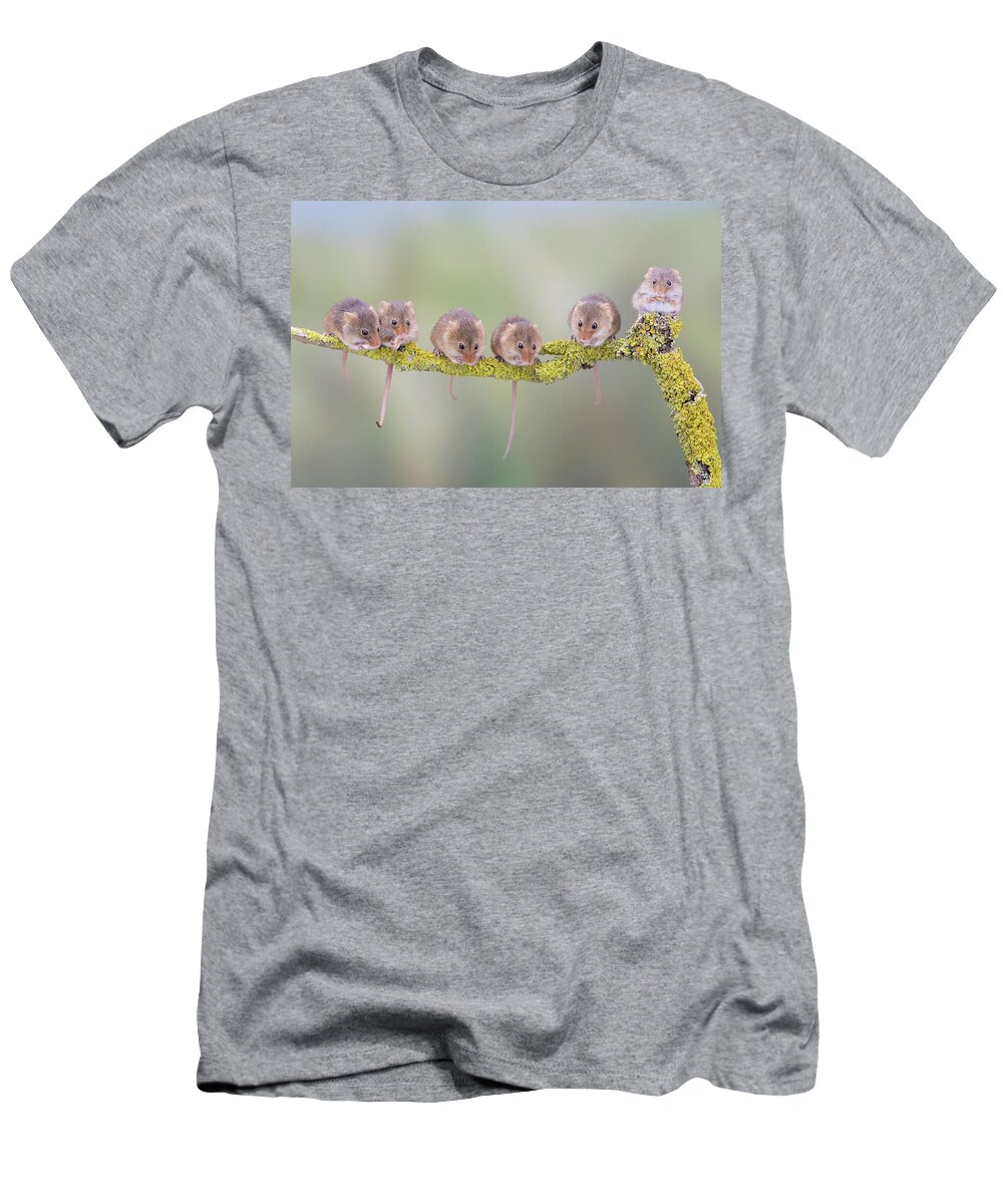 Cute T-Shirt featuring the photograph Harvest mouse gang by Erika Valkovicova