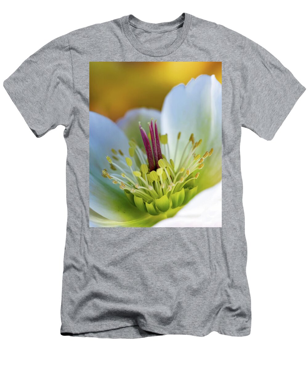 Flower T-Shirt featuring the photograph Hellebores Center by Rebecca Cozart