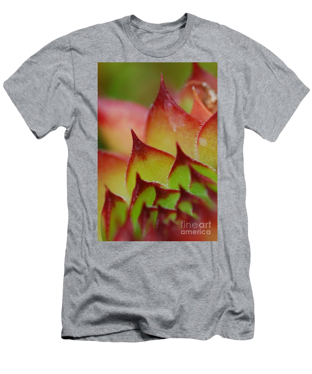 Hens And Chicks T-Shirt featuring the photograph Hens And Chicks #10 by Stephanie Gambini