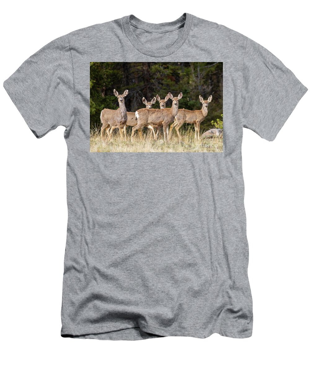 Deer T-Shirt featuring the photograph Herd of Curious Deer by Steven Krull
