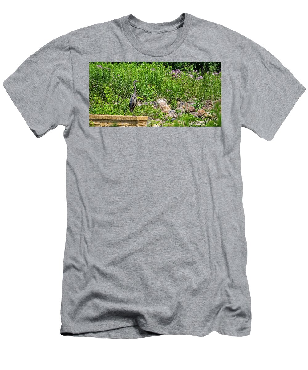 Heron T-Shirt featuring the photograph Heron - UW Arboretum, Madison, Wisconsin by Steven Ralser