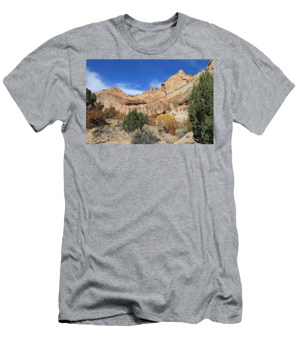 Lower Calf Creek T-Shirt featuring the photograph Hike to Calfs Creek - Grand Staircase Escalante, Utah by Richard Krebs
