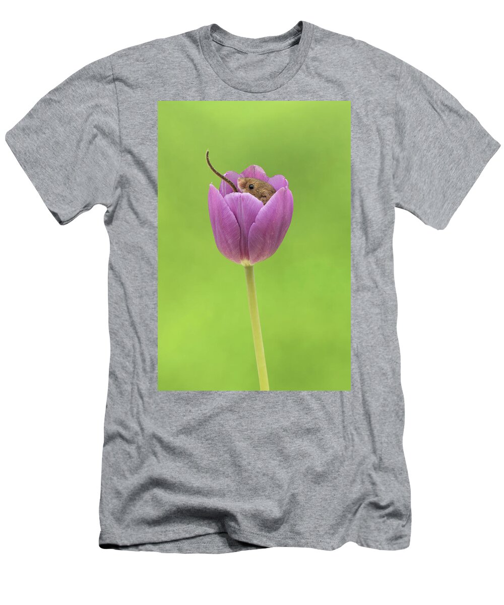 Harvest T-Shirt featuring the photograph HMTulips-7567 by Miles Herbert