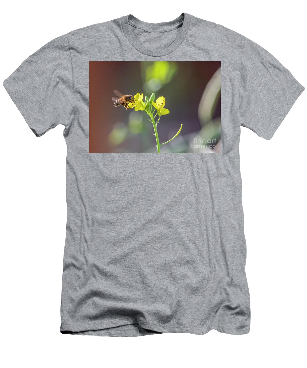 Honey Bee T-Shirt featuring the photograph Honey Bee on a Winter Kale Flower by Sandra Rust