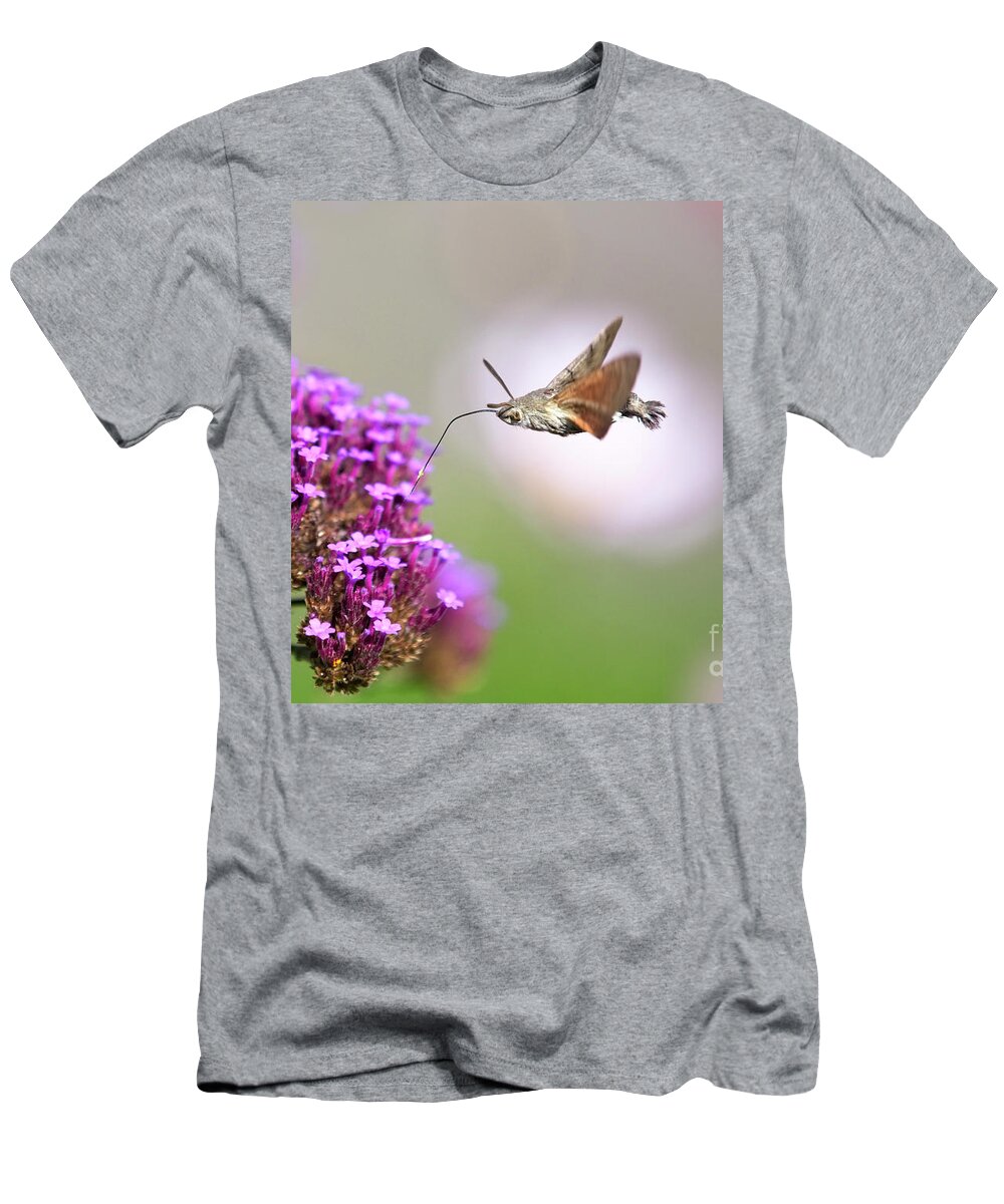 Hummingbird Hawkmoth T-Shirt featuring the photograph Humming-bird Hawk-moth, Macroglossum stellatarum by Tony Mills