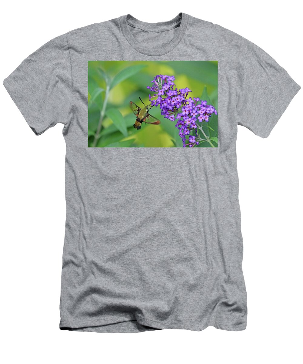 Hummingbird Moth T-Shirt featuring the photograph Hummingbird Moth And Buddleia by Debbie Oppermann
