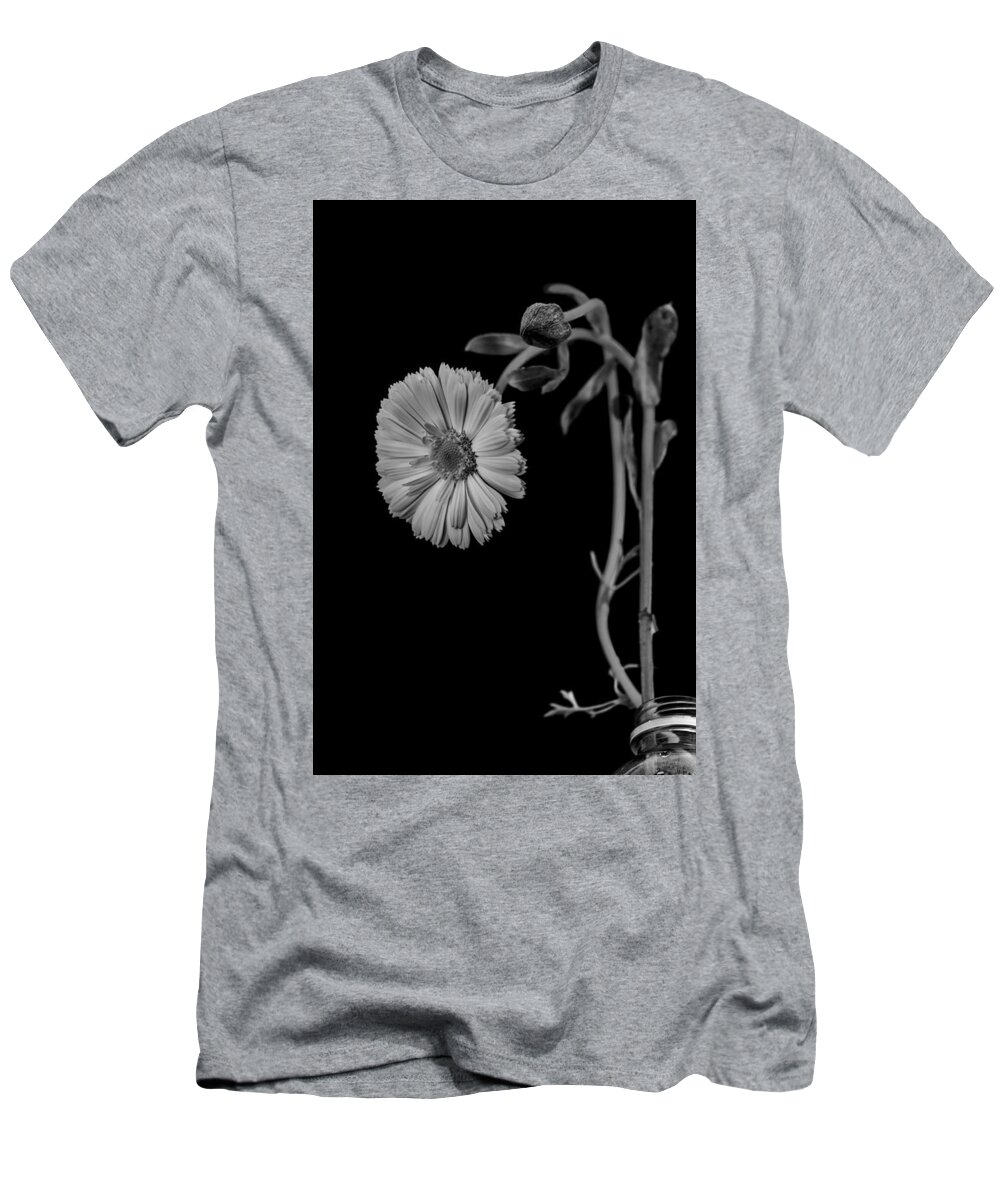 Still Life T-Shirt featuring the photograph Humpback daisy in black and white by Alessandra RC
