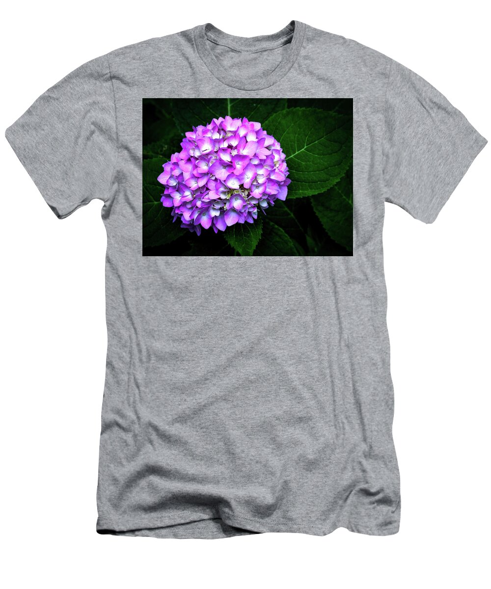 Hydrangea T-Shirt featuring the photograph Hydrangea by Susie Loechler