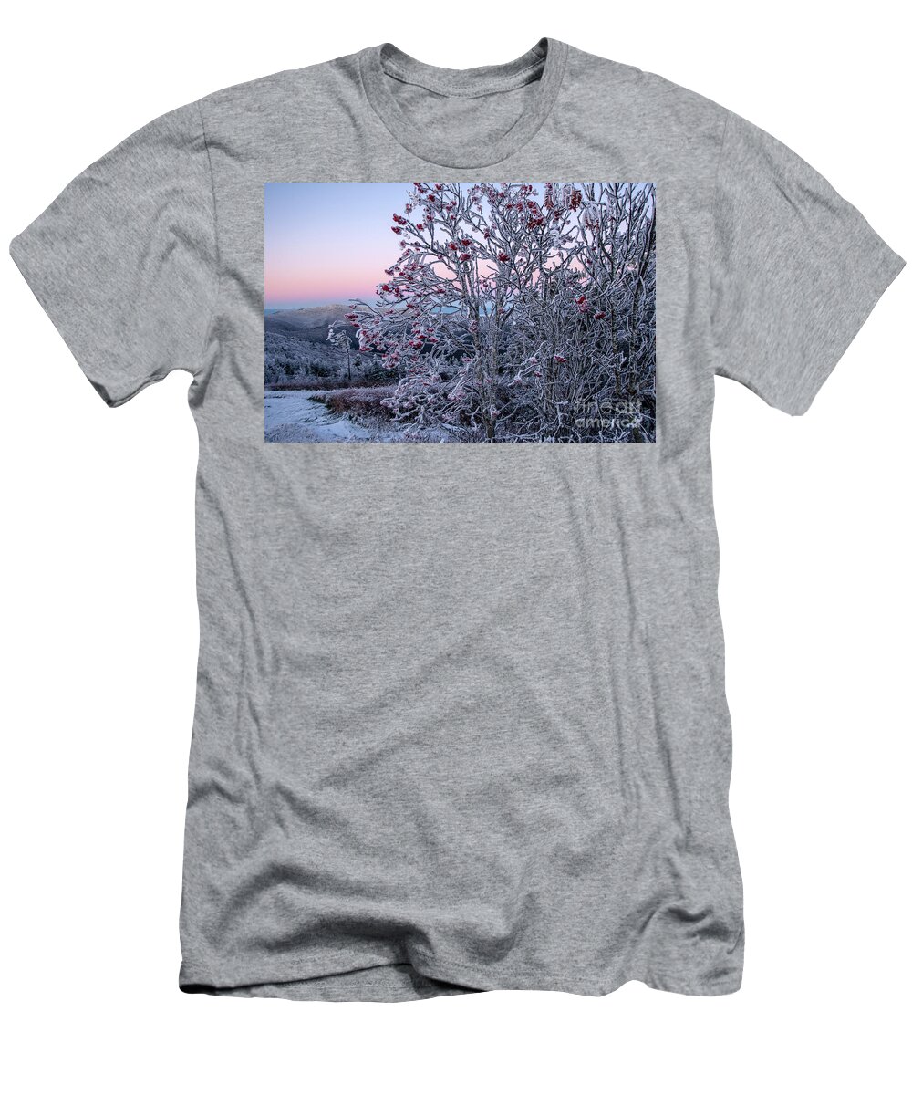 Dawn T-Shirt featuring the photograph Icy Dawn from Mount Mitchel by Jane Axman