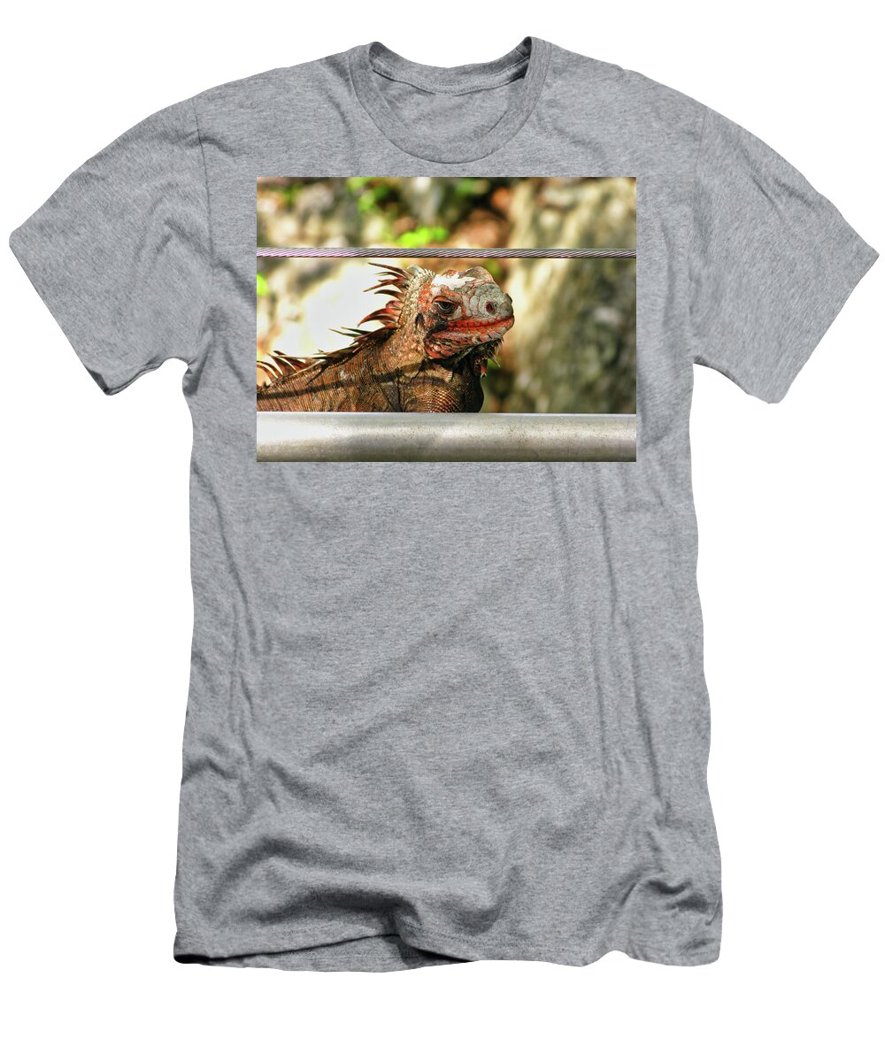 Animals T-Shirt featuring the photograph I'm looking at you by Segura Shaw Photography