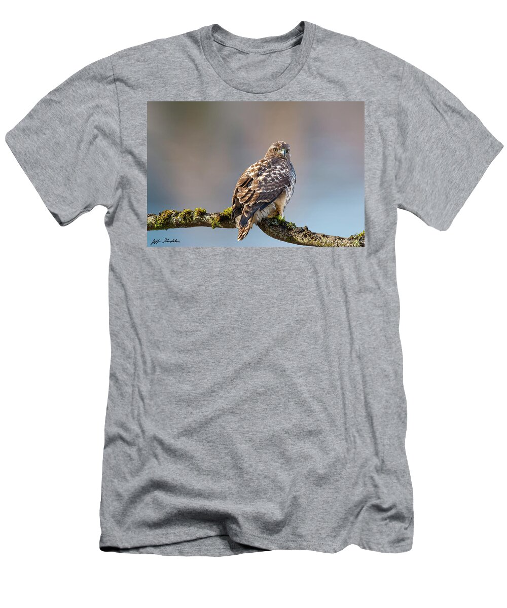 Animal T-Shirt featuring the photograph Immature Red Tailed Hawk in a Tree by Jeff Goulden