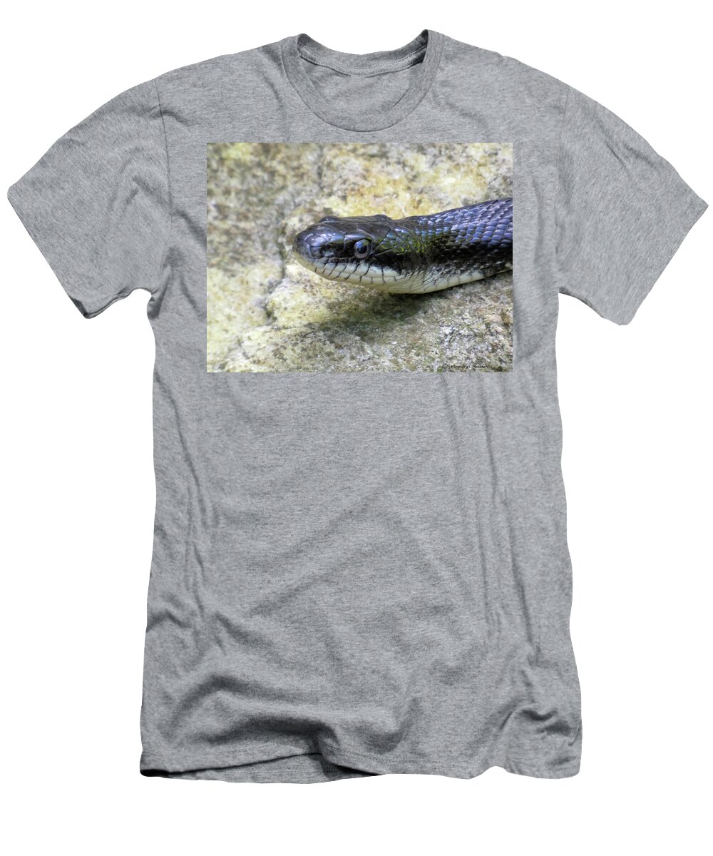 Snake T-Shirt featuring the photograph In the Eye of the Snake the Stone is Reflected by Kimmary I MacLean