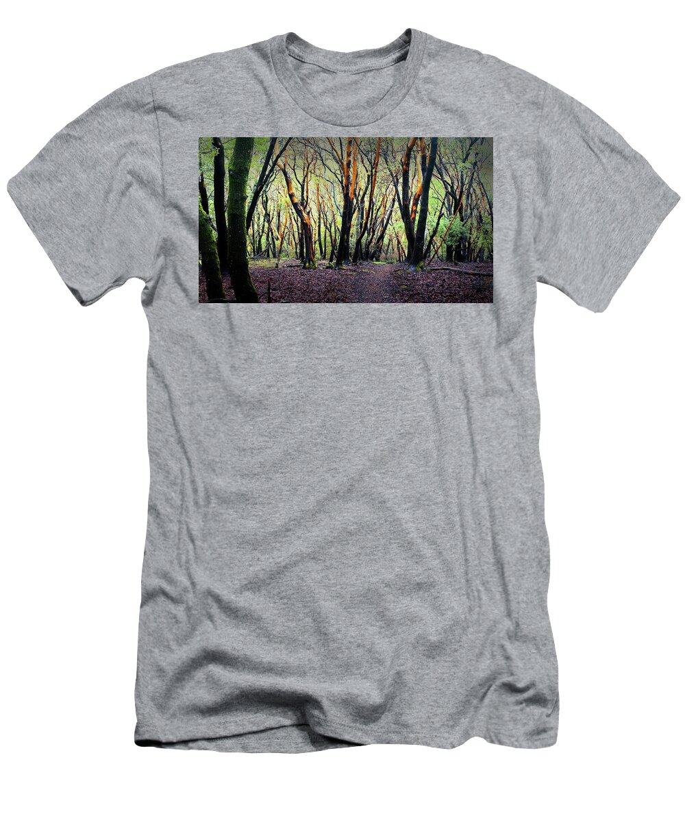 Indian Valley Forest T-Shirt featuring the photograph Indian Valley Forest by John Parulis