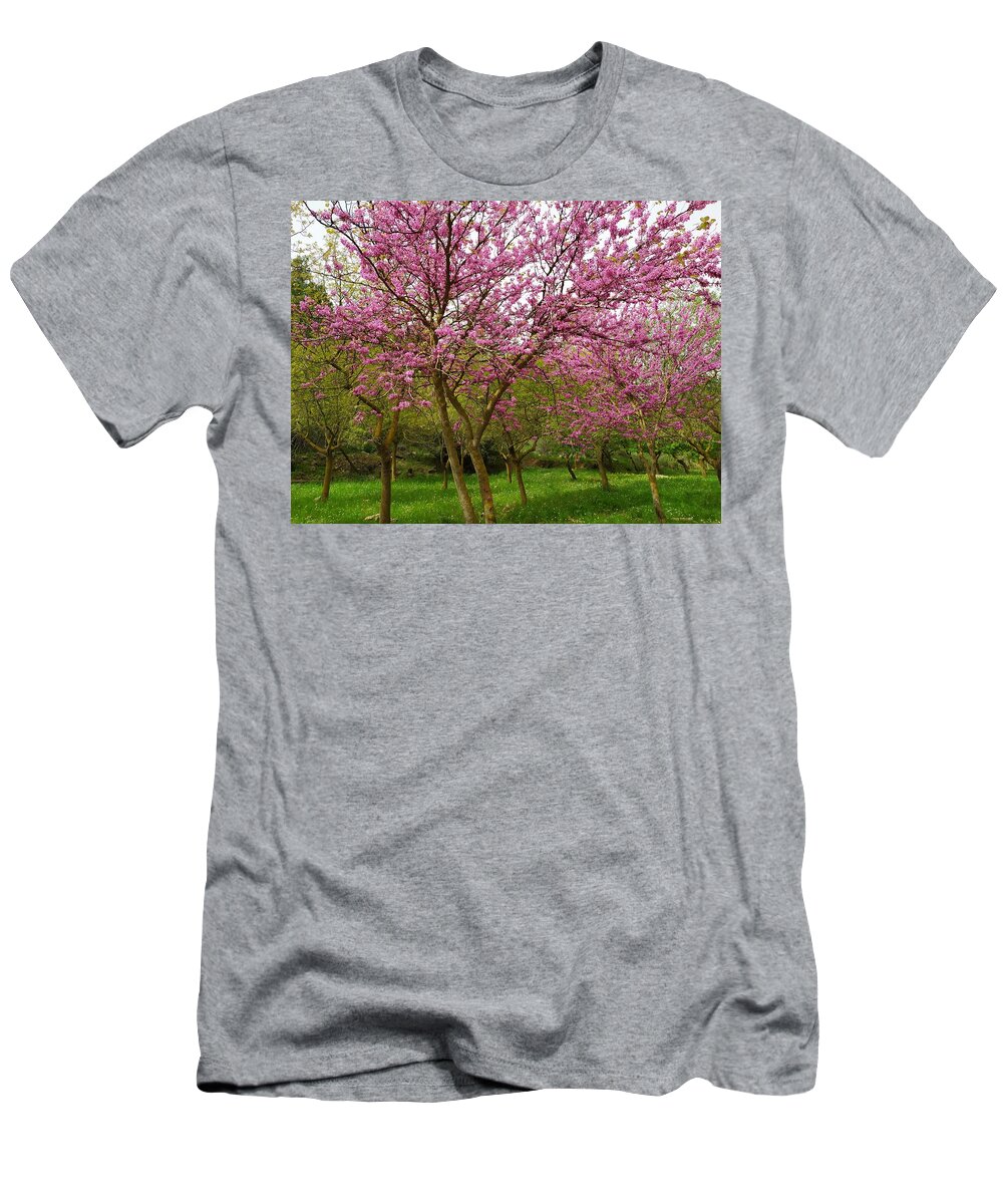 Judas Trees T-Shirt featuring the photograph Judas Trees in Springtime by Esther Newman-Cohen