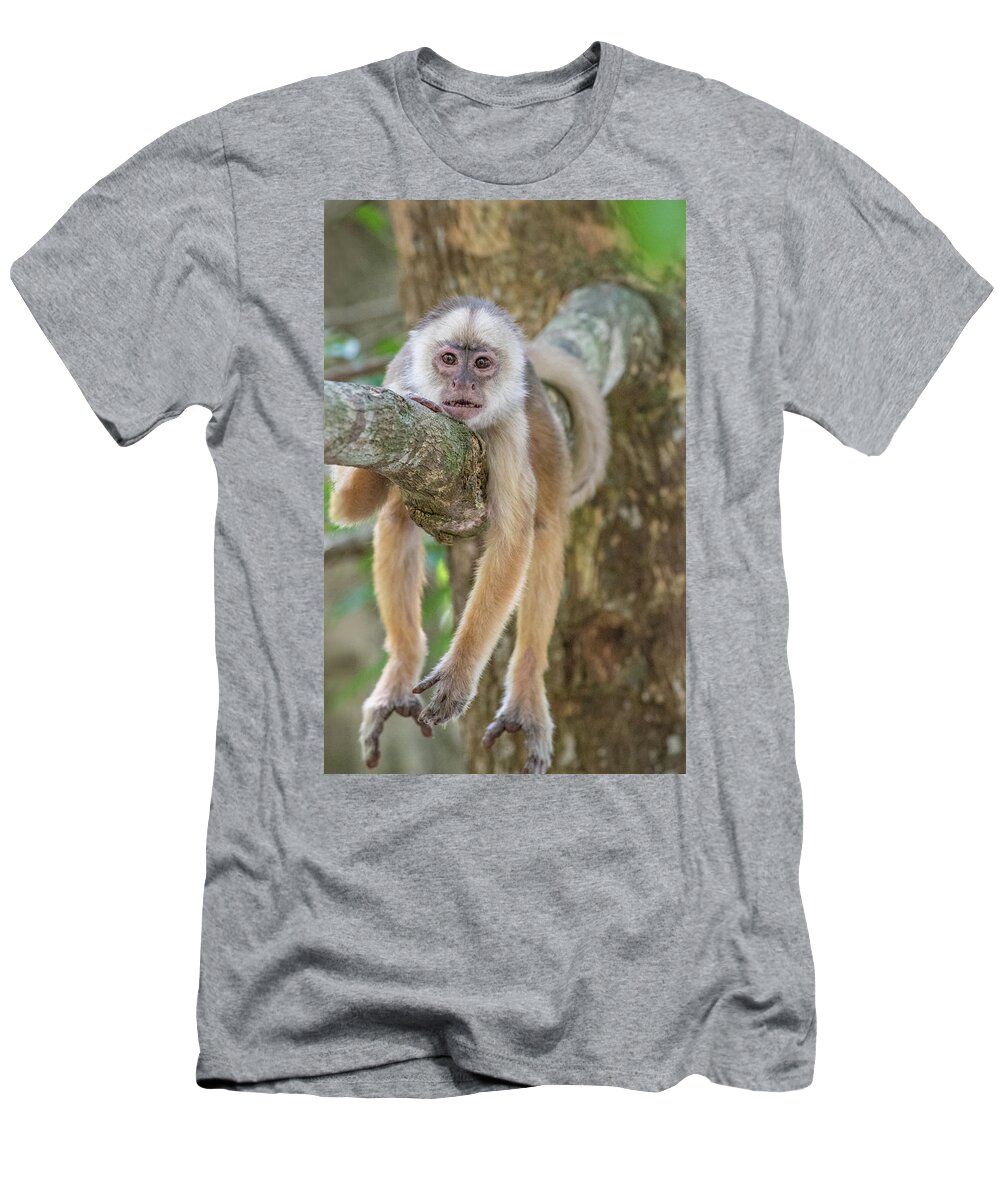 Capuchin T-Shirt featuring the photograph Just hanging out... by Linda Villers