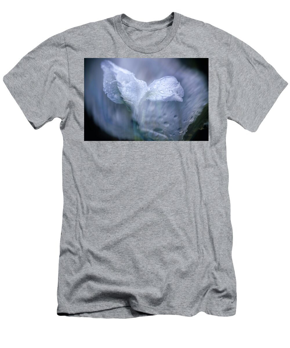Iris T-Shirt featuring the photograph Just When I Thought I Would Never Think of You by Cynthia Dickinson