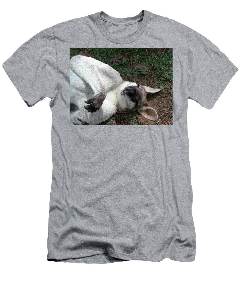 Kangaroo T-Shirt featuring the photograph Kangaroo Zen by Joelle Philibert
