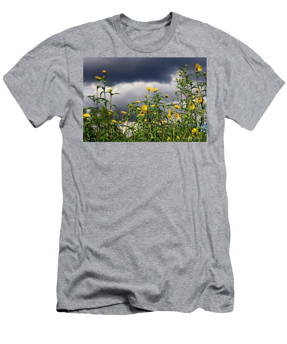 Flowers T-Shirt featuring the photograph Keep Reaching for the Sun Amid the Dark Clouds by Mary Walchuck