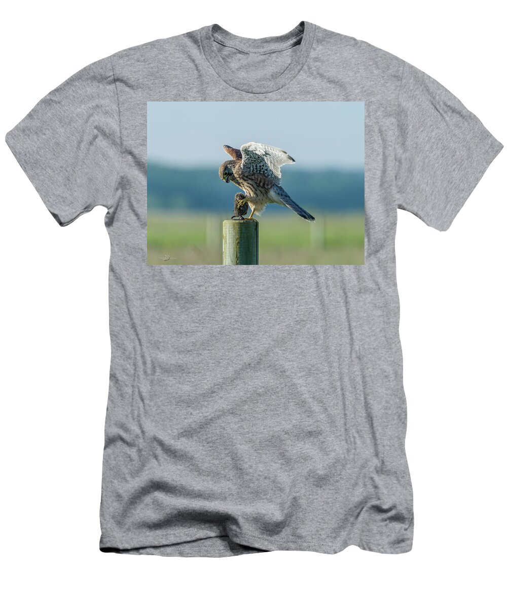 Kestrel's Landing T-Shirt featuring the photograph Kestrels landing with the prey on the roundpole by Torbjorn Swenelius