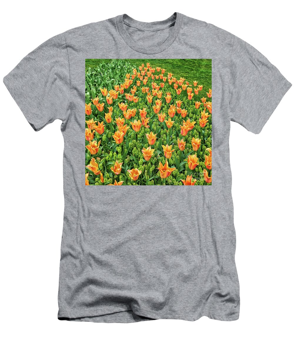 Top Artist T-Shirt featuring the photograph Keukenhof Tulips by Norman Gabitzsch