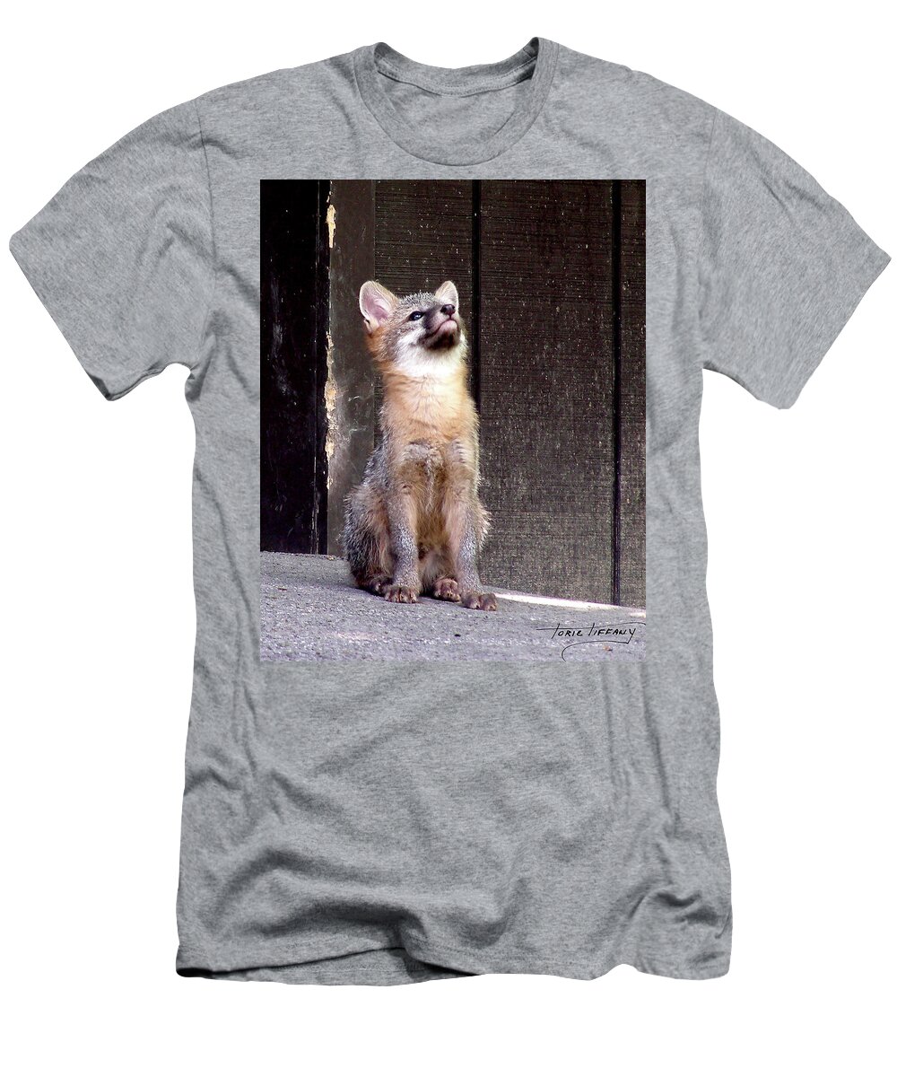 Kit Fox T-Shirt featuring the photograph Kit Fox11 by Torie Tiffany