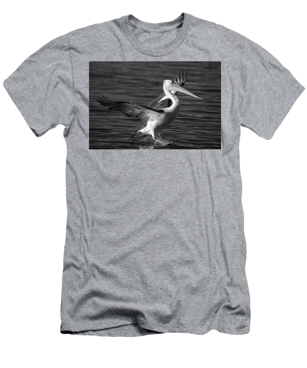 Pelican T-Shirt featuring the photograph Landing by Nicolas Lombard