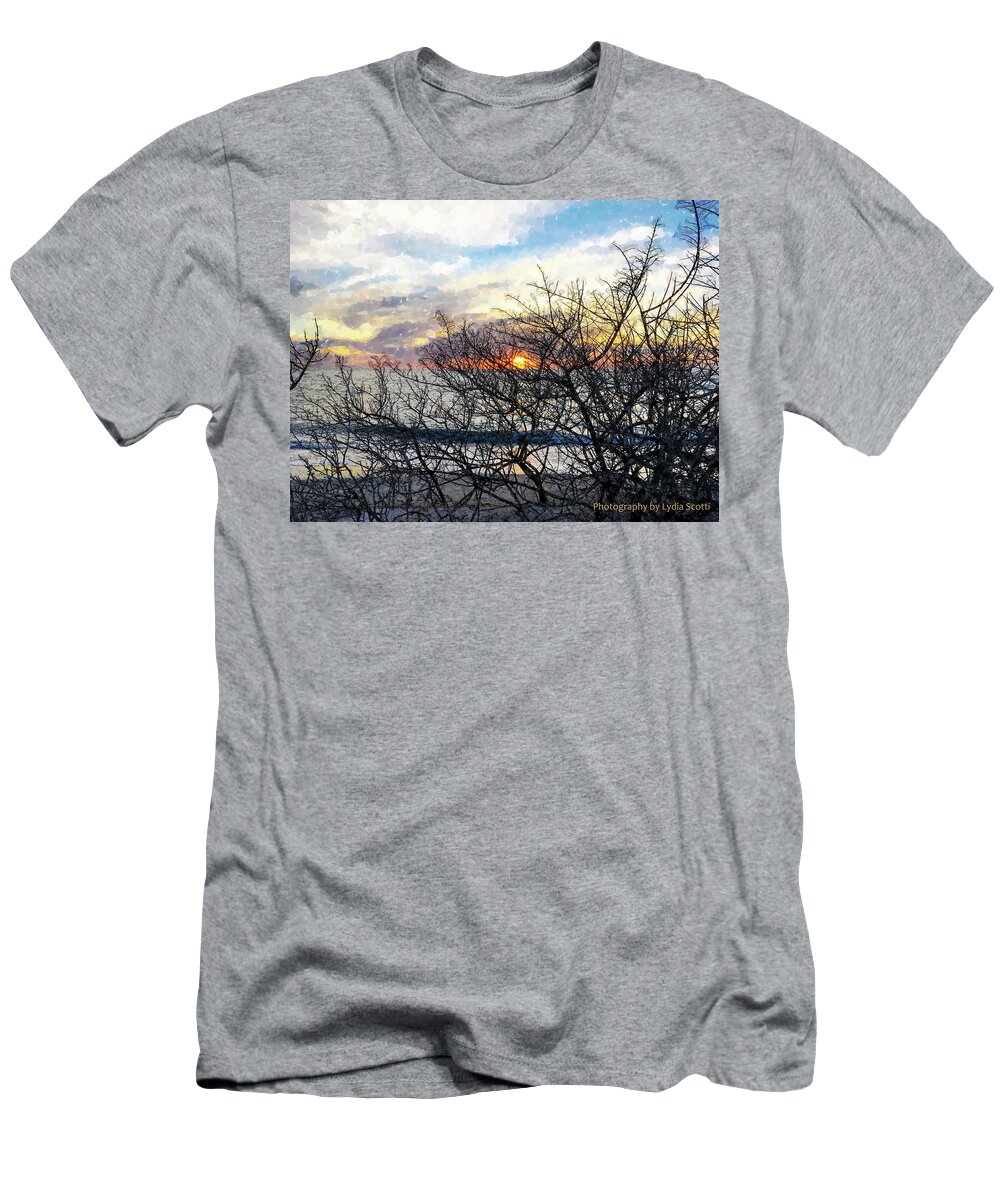 Susan Molnar T-Shirt featuring the photograph Late Winter Sunset WC10-1 by Susan Molnar